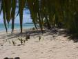 Aitutaki99_038.jpg