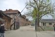 Auschwitz-Birkenau_2017_002.JPG